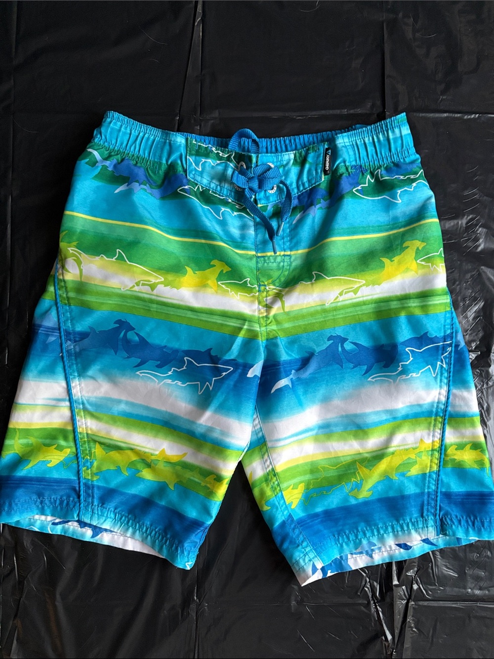 Boys Blue & Green Shark Stripe Swim Trunks